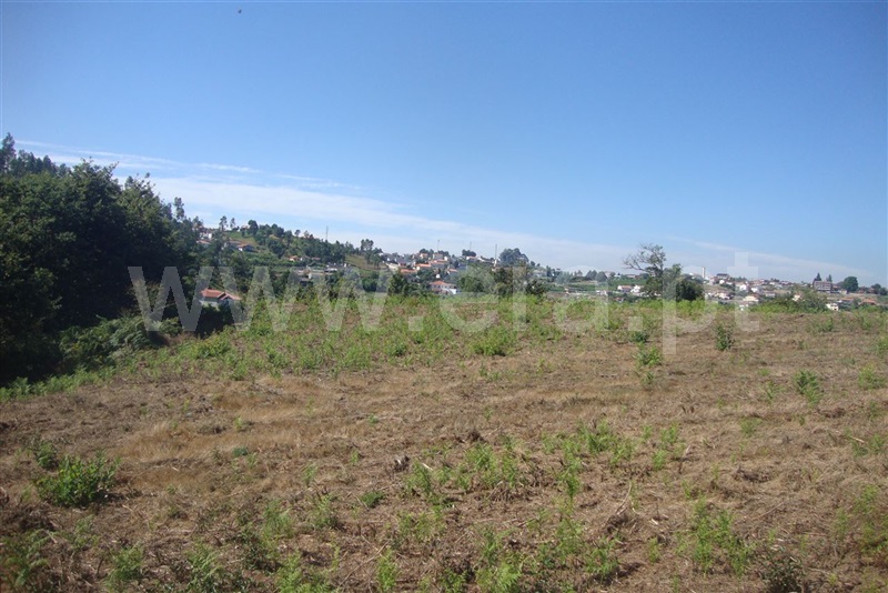 Terreno  Amarante, Freixo de Cima e de Baixo - 1104272 - 3