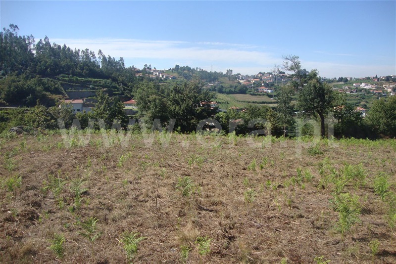 Terreno  Amarante, Freixo de Cima e de Baixo - 1104272 - 5