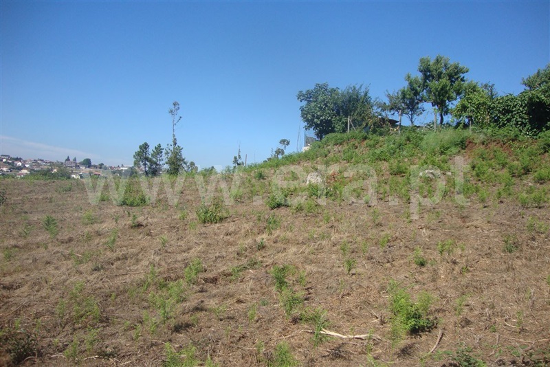 Terreno  Amarante, Freixo de Cima e de Baixo - 1104272 - 10