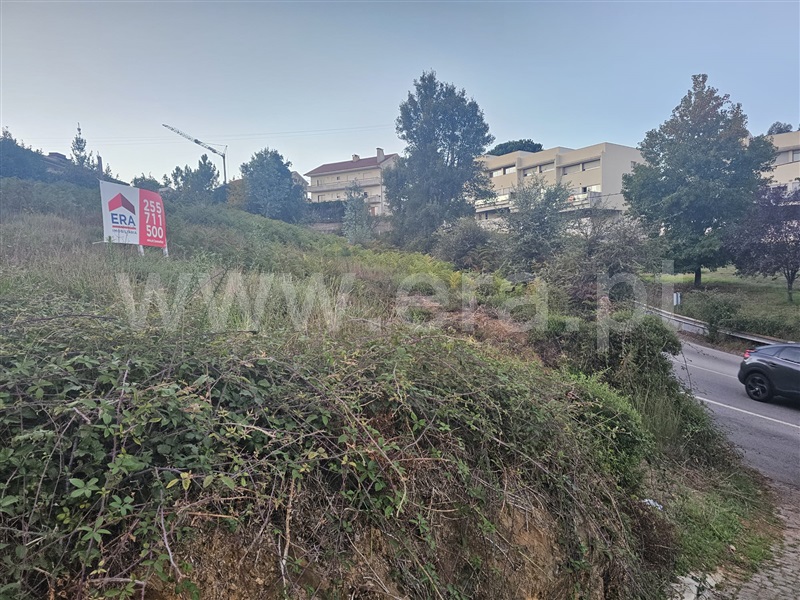 Terreno / Amarante, Freixo de Cima e de Baixo