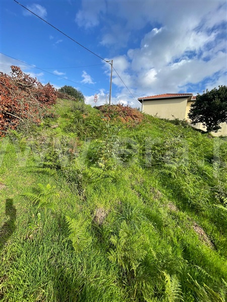 Terreno  Amarante, Fridão - 1448355 - 3