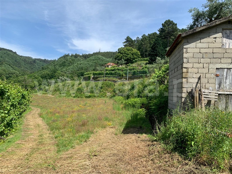 Terreno / Amarante, Gondar