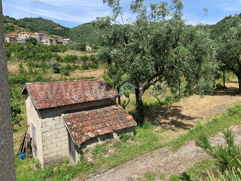 Terreno  Amarante, Gondar - 1410377 - 5