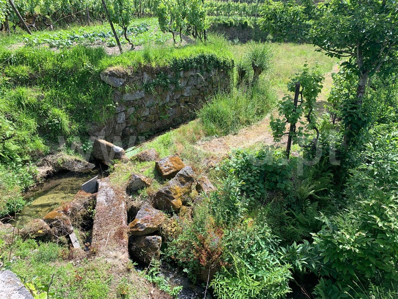 Terreno  Amarante, Gondar - 1410377 - 6