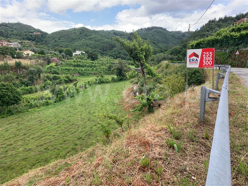 Terreno  Amarante, Gondar - 1410377 - 6