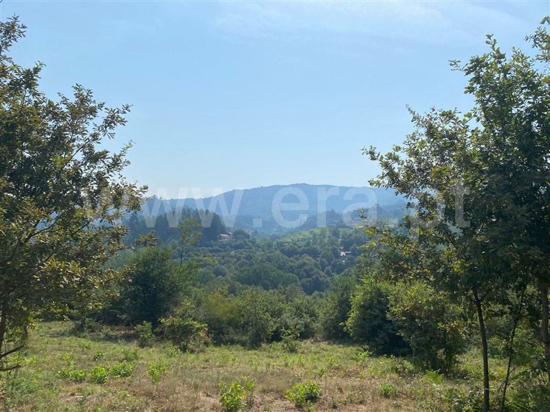 Terreno / Amarante, Gouveia (São Simão)