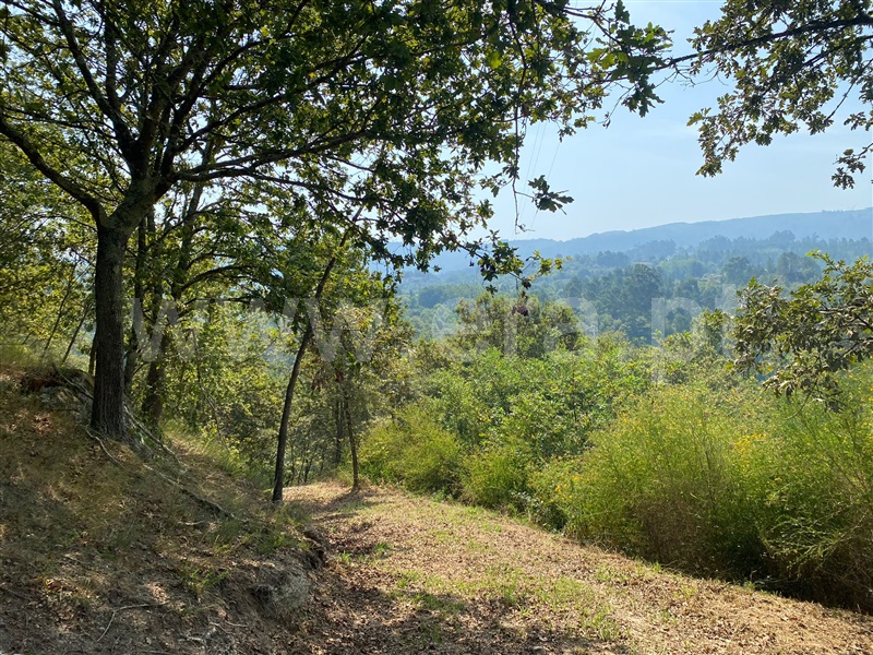 Terreno  Amarante, Gouveia (São Simão) - 1261676 - 2