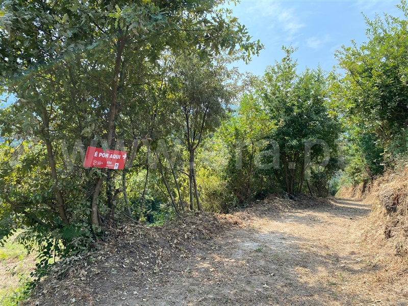 Terreno  Amarante, Gouveia (São Simão) - 1261676 - 8