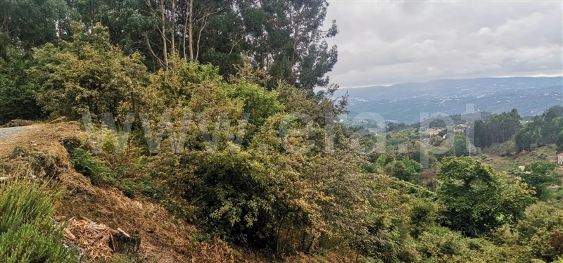 Terreno  Amarante, Gouveia (São Simão) - 667149 - 2