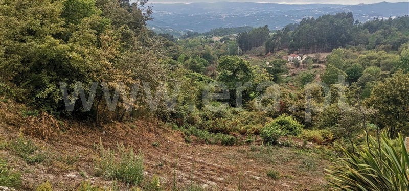 Terreno  Amarante, Gouveia (São Simão) - 667149 - 3