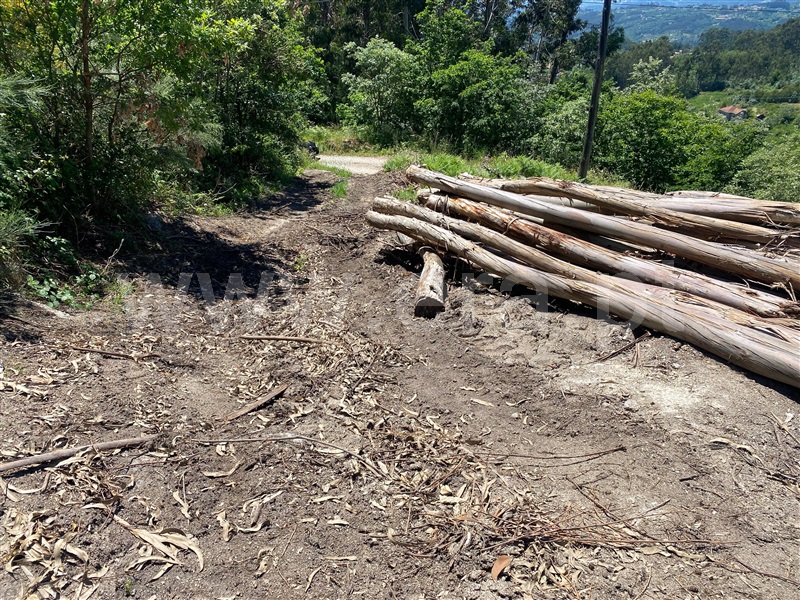 Terreno  Amarante, Gouveia (São Simão) - 681197 - 3
