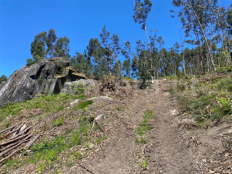 Terreno  Amarante, Gouveia (São Simão) - 681197 - 4
