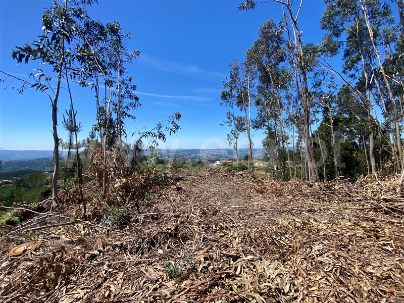 Terreno  Amarante, Gouveia (São Simão) - 681197 - 7