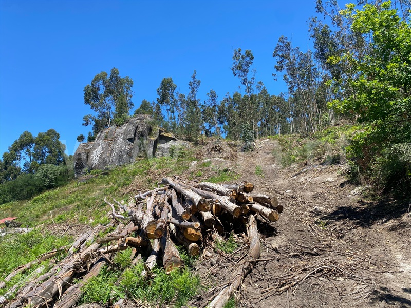 Terreno  Amarante, Gouveia (São Simão) - 681197 - 10
