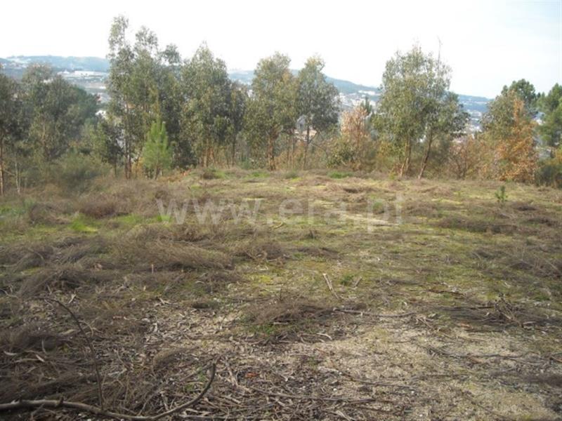 Terreno / Amarante, Lomba