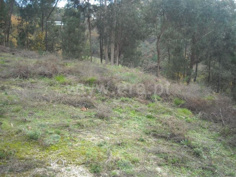 Terreno  Amarante, - 704827 - 3
