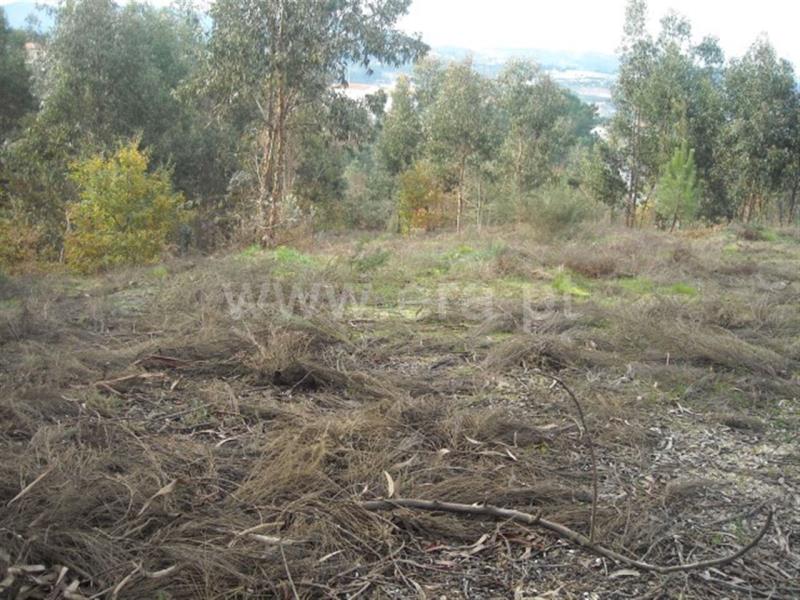 Terreno  Amarante, - 704827 - 4