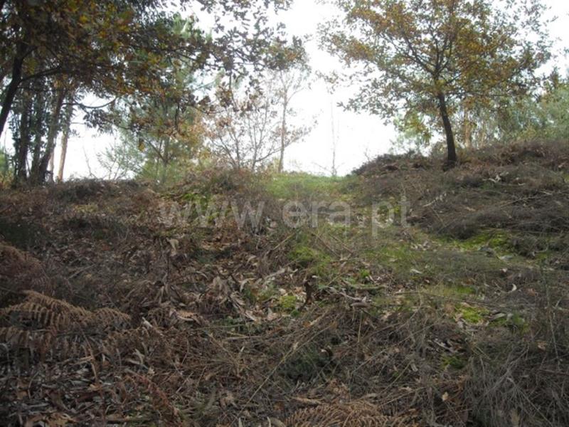 Terreno  Amarante, - 704827 - 7