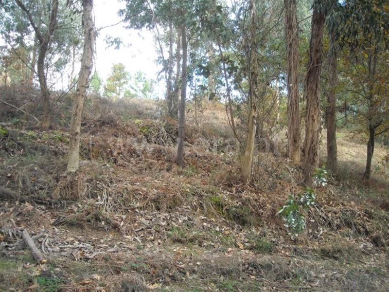 Terreno  Amarante, - 704827 - 8