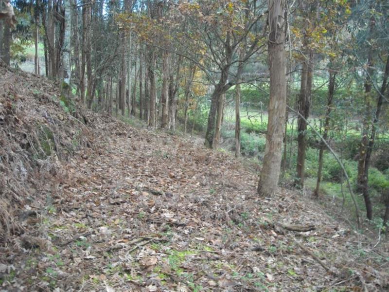 Terreno  Amarante, - 704827 - 9