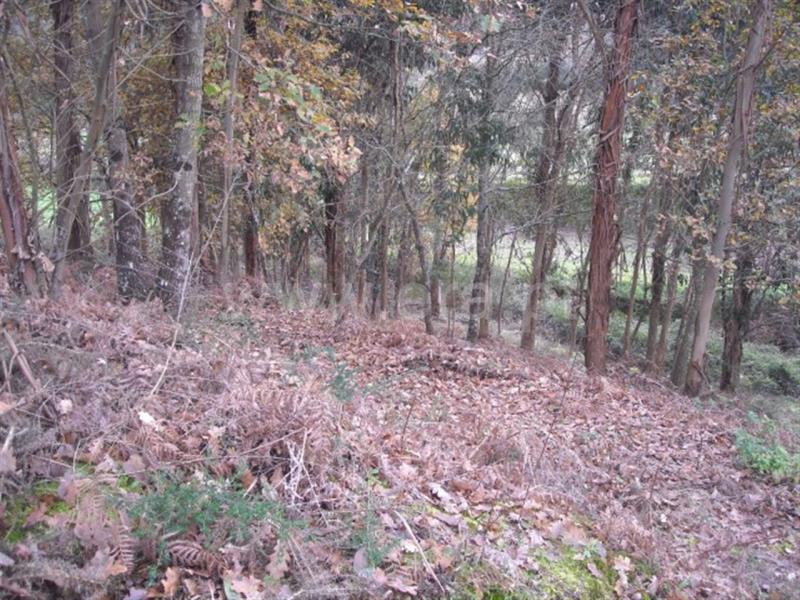 Terreno  Amarante, - 704827 - 10