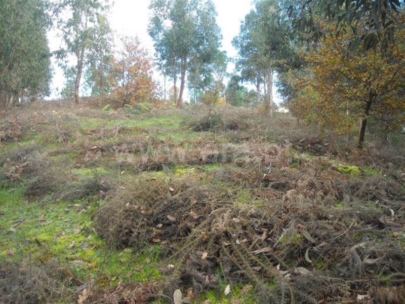 Terreno  Amarante, - 704827 - 11