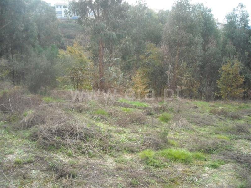 Terreno  Amarante, - 704827 - 12