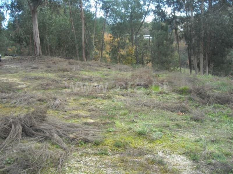 Terreno  Amarante, - 704827 - 13