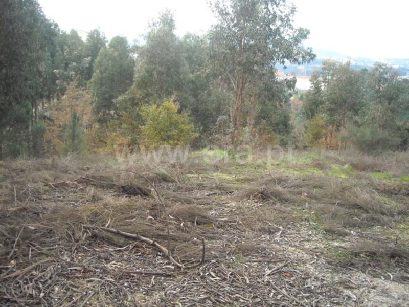 Terreno  Amarante, - 704827 - 14
