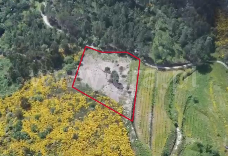 Terreno / Amarante, Lufrei