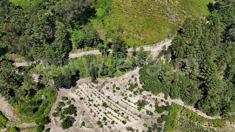 Terreno / Amarante, Mancelos