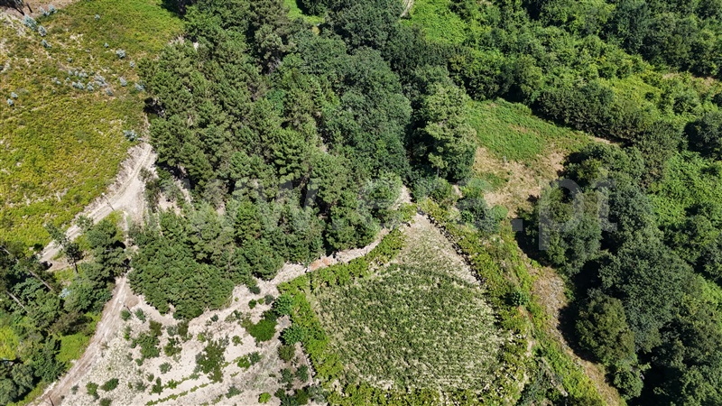 Terreno  Amarante, Mancelos - 1422939 - 2