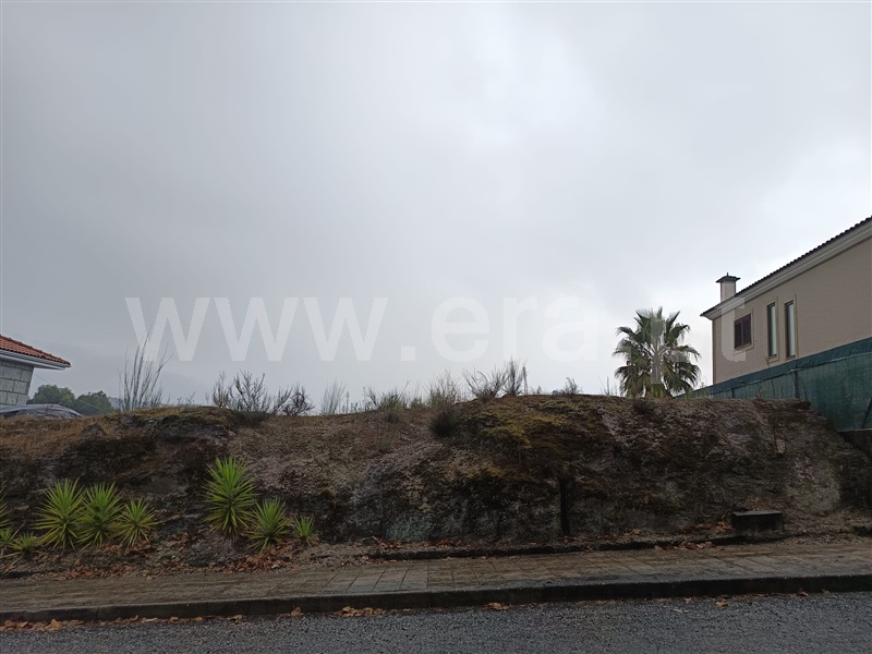 Terreno / Amarante, Mancelos