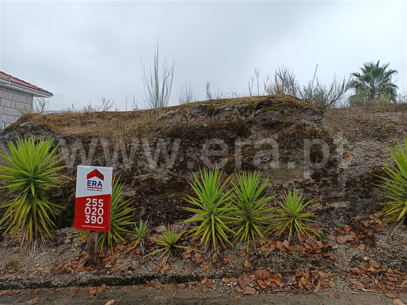 Terreno / Amarante, Mancelos