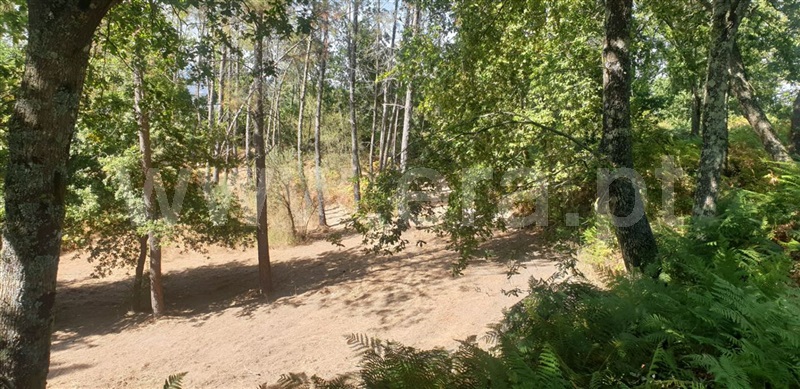 Terreno  Amarante, Olo e Canadelo - 1114859 - 2