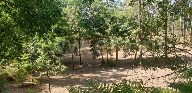Terreno  Amarante, Olo e Canadelo - 1114859 - 3