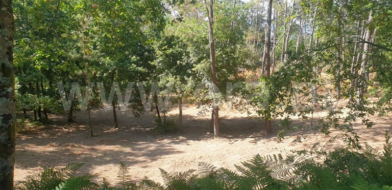 Terreno  Amarante, Olo e Canadelo - 1114859 - 4