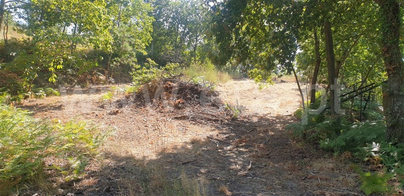 Terreno  Amarante, Olo e Canadelo - 1114859 - 6