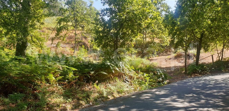 Terreno  Amarante, Olo e Canadelo - 1114859 - 8