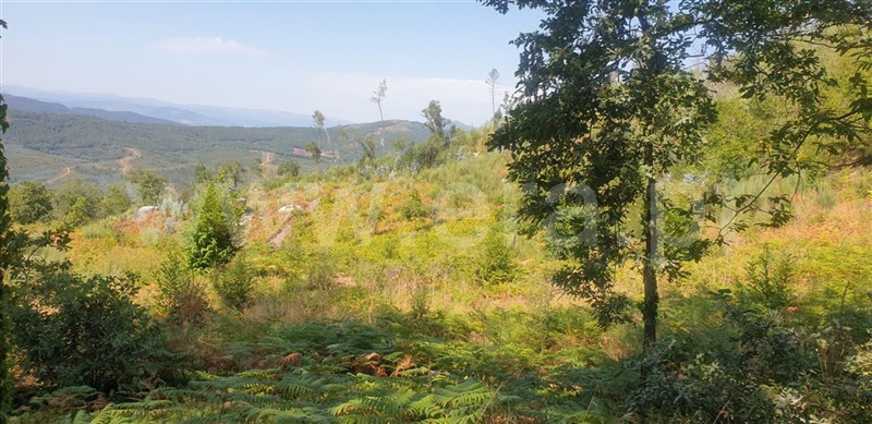 Terreno  Amarante, Olo e Canadelo - 1114859 - 9