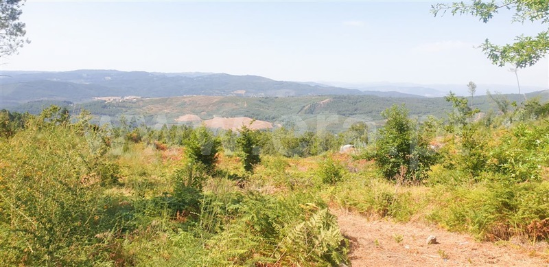 Terreno  Amarante, Olo e Canadelo - 1114859 - 10