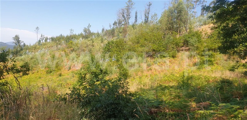 Terreno  Amarante, Olo e Canadelo - 1114859 - 11