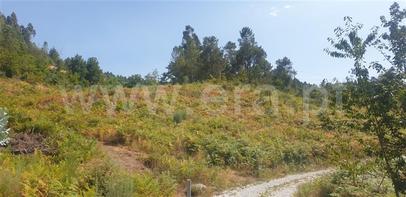Terreno  Amarante, Olo e Canadelo - 1114859 - 13