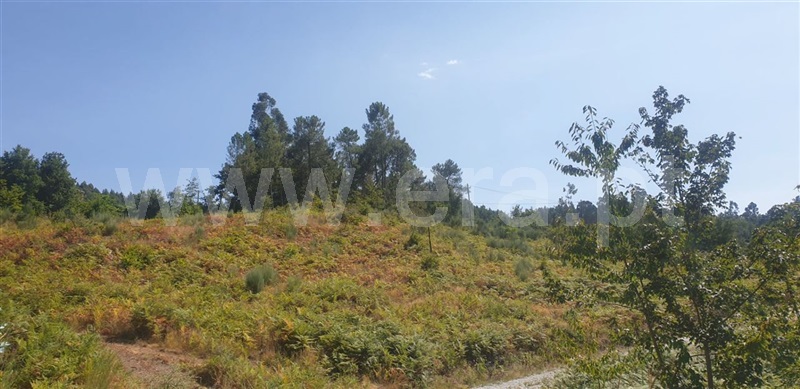 Terreno  Amarante, Olo e Canadelo - 1114859 - 15