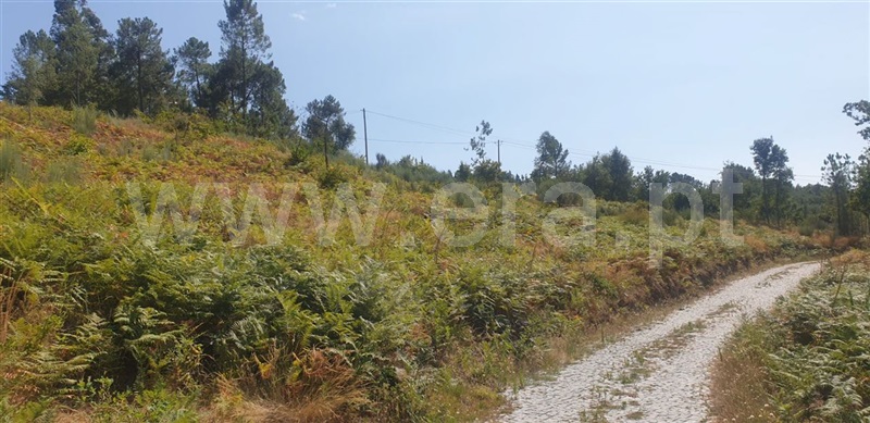 Terreno  Amarante, Olo e Canadelo - 1114859 - 16