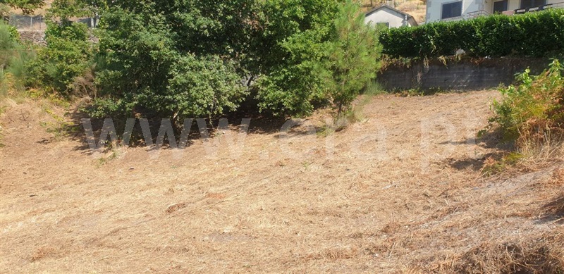 Terreno  Amarante, Olo e Canadelo - 1114859 - 17