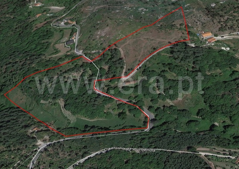 Terreno / Amarante, Olo e Canadelo