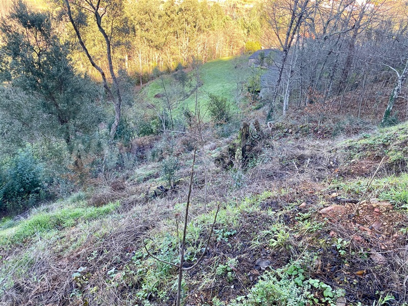 Terreno  Amarante, Olo e Canadelo - 1359511 - 4