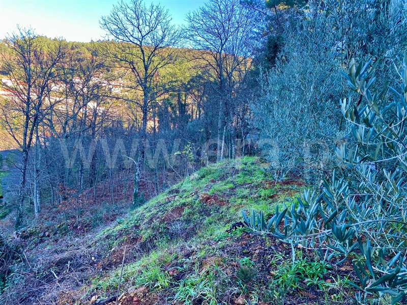 Terreno  Amarante, Olo e Canadelo - 1359511 - 5