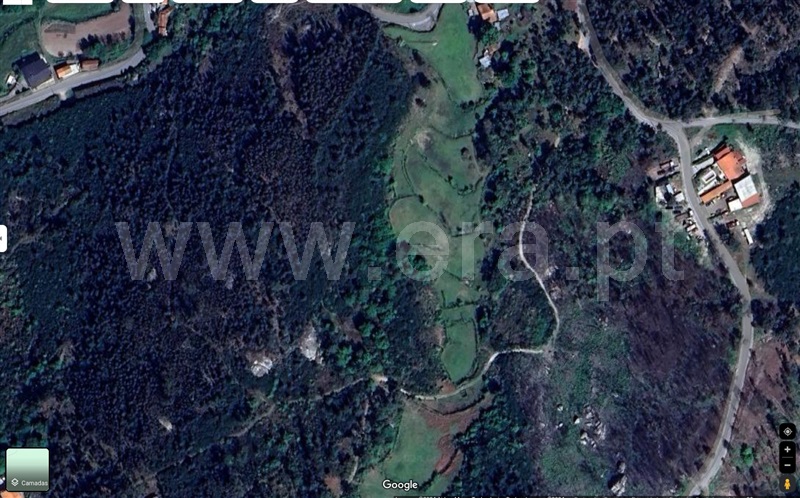 Terreno / Amarante, Olo e Canadelo